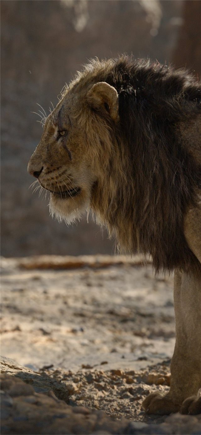 1125x2436 simba and scar - lion iPhone X Wallpaper