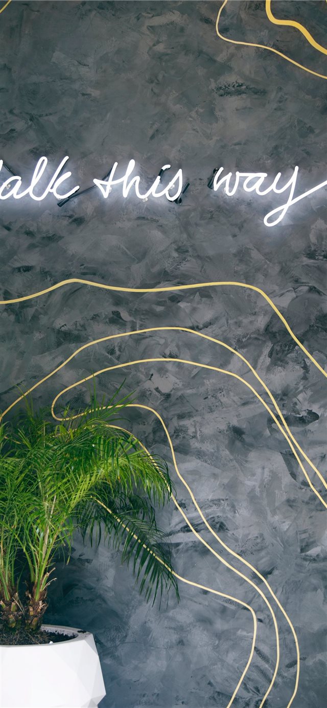 1125x2436 Montréal   Canada - scenery iPhone X Wallpaper