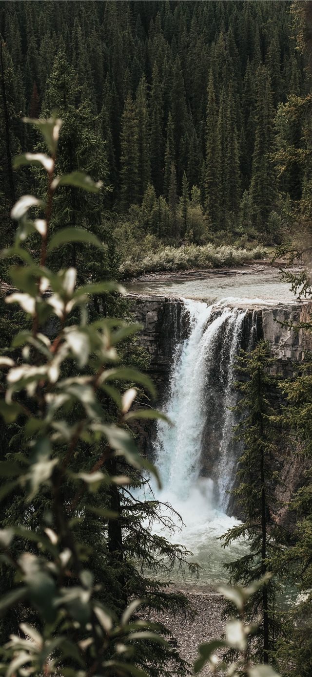1125x2436 Hidden Falls - christmas tree iPhone X Wallpaper