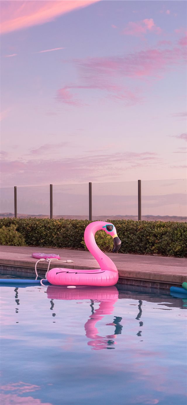 1125x2436 Tomorrow is Saturday  Inflatables  - california iPhone X Wallpaper