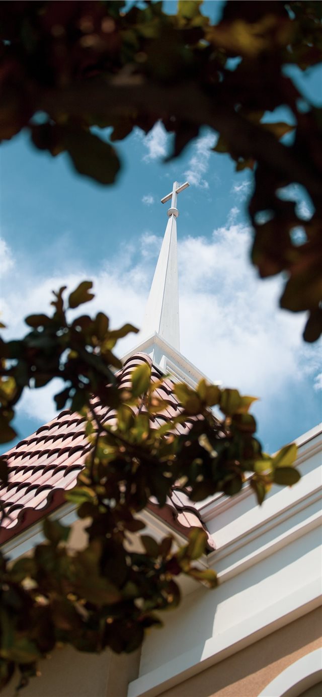 1125x2436 Steeple through trees - flare iPhone X Wallpaper