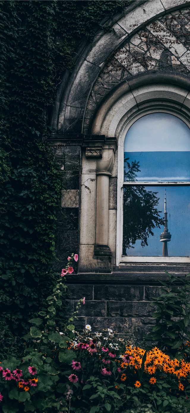 1125x2436 Architectural reflection - flowers iPhone X Wallpaper