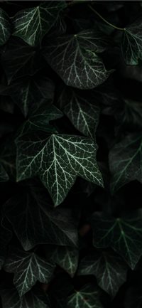 Textures and composition  wallpaper