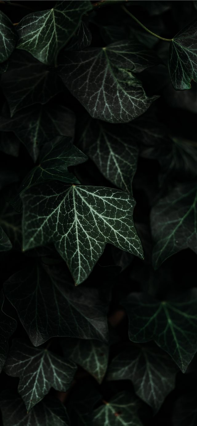 1125x2436 Textures and composition  - moody iPhone X Wallpaper