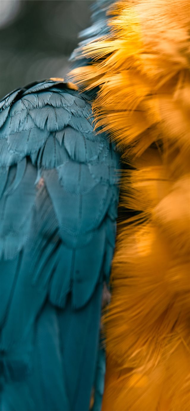 1125x2436 details -  iPhone X Wallpaper