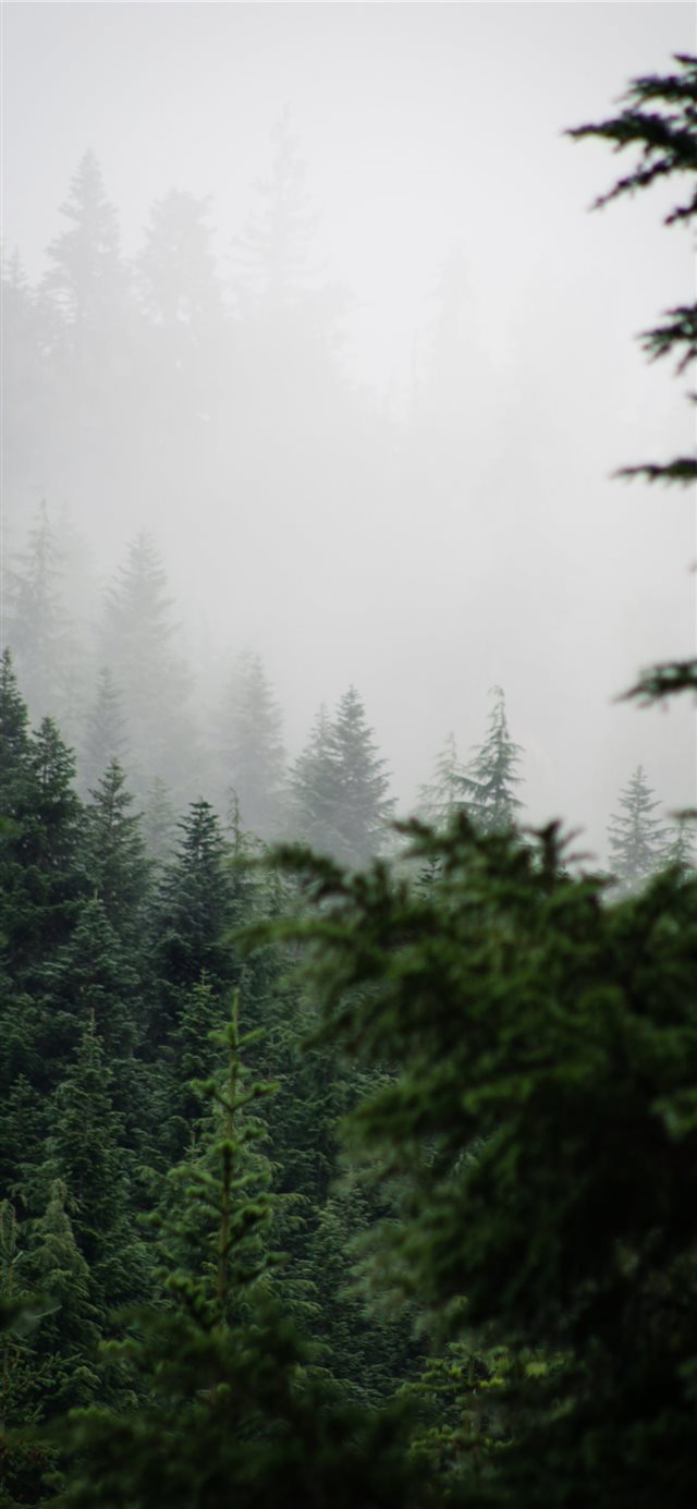 1125x2436 Alpine Lakes Wilderness - summer iPhone X Wallpaper