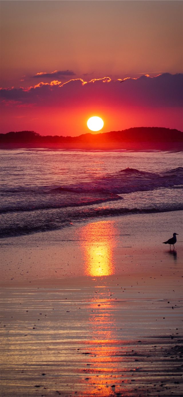1125x2436 Cape May  NJ - flare iPhone X Wallpaper