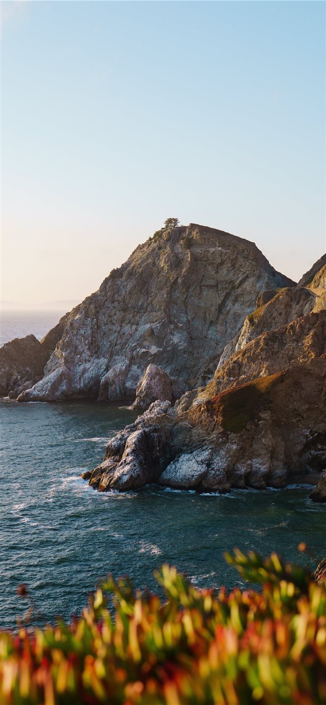1125x2436     francistogram  - california iPhone X Wallpaper