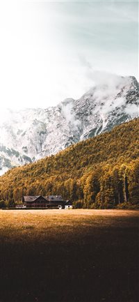 House  Forest and Mountain in Austria  wallpaper