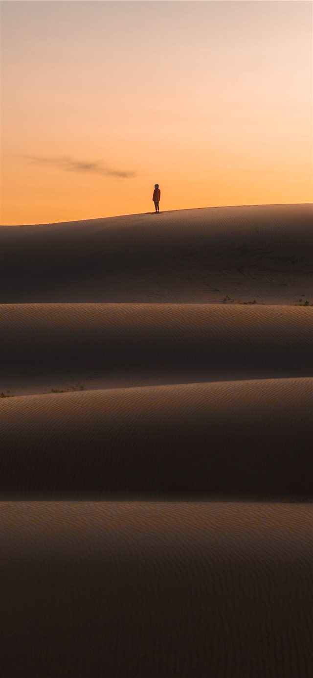 1125x2436 Rush Hour -  iPhone X Wallpaper