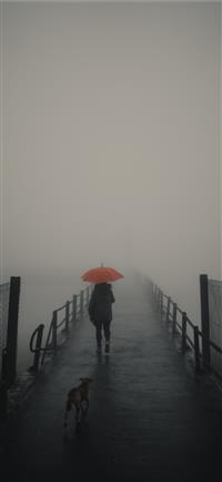 Paranapiacaba Brazil wallpaper