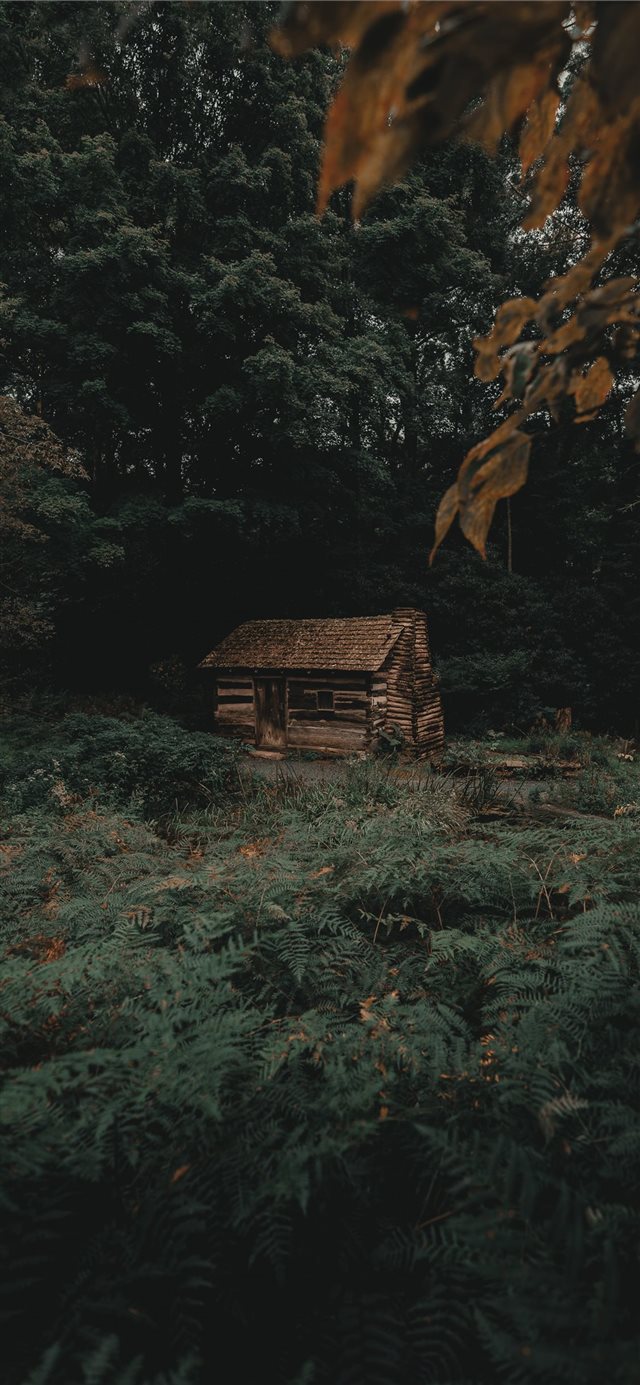 1125x2436 Do not disturb - moody iPhone X Wallpaper