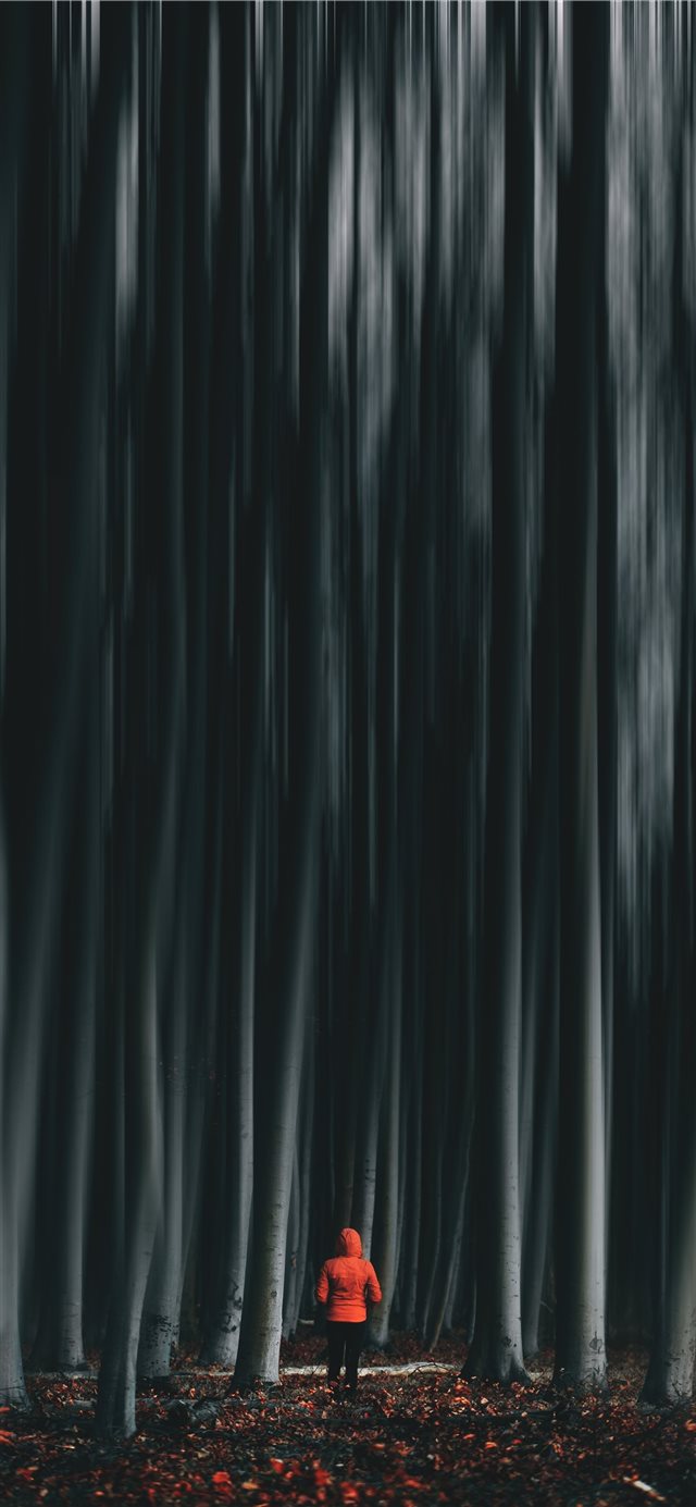 1125x2436 man wearing orange jacket -  iPhone X Wallpaper