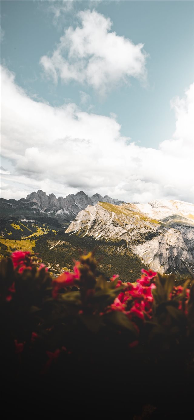 1125x2436 snow covered mountain - moody iPhone X Wallpaper