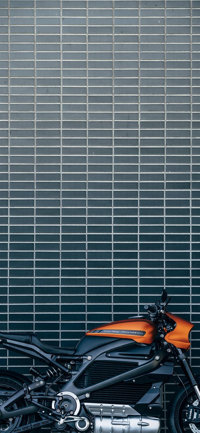 1125x2436 orange and black motorcycle - mammal iPhone X Wallpaper
