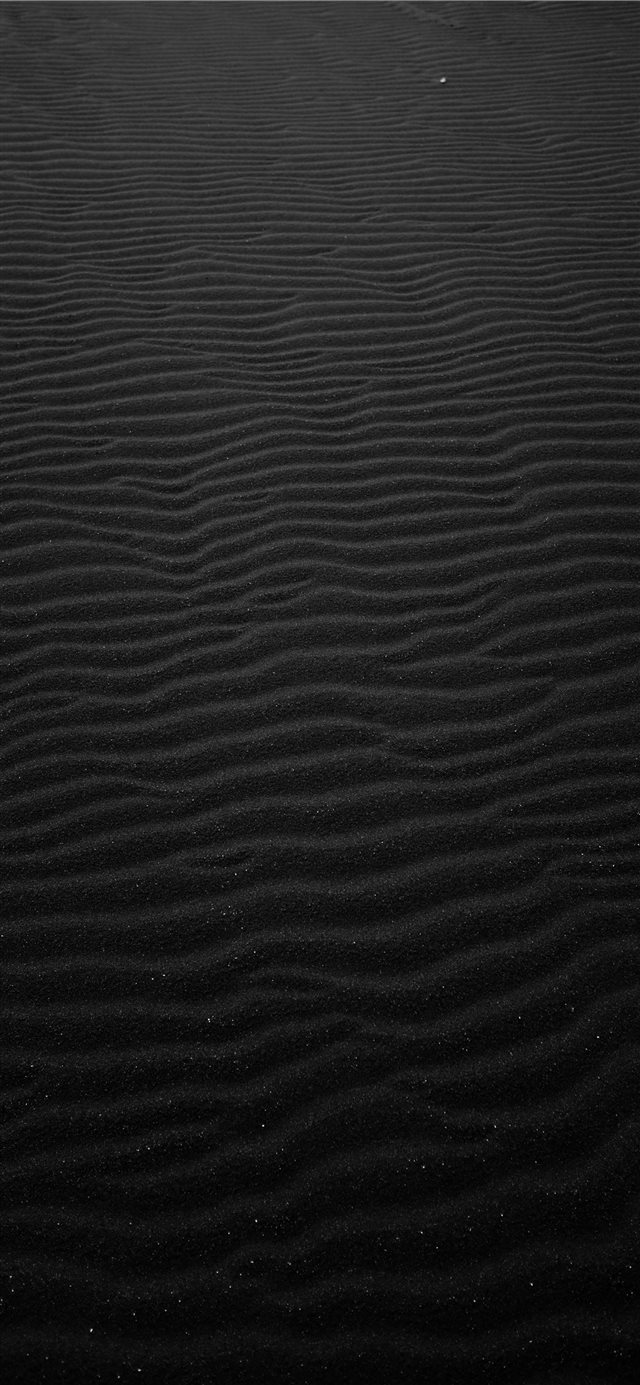 1125x2436 grayscale photography of sand - scenery iPhone X Wallpaper