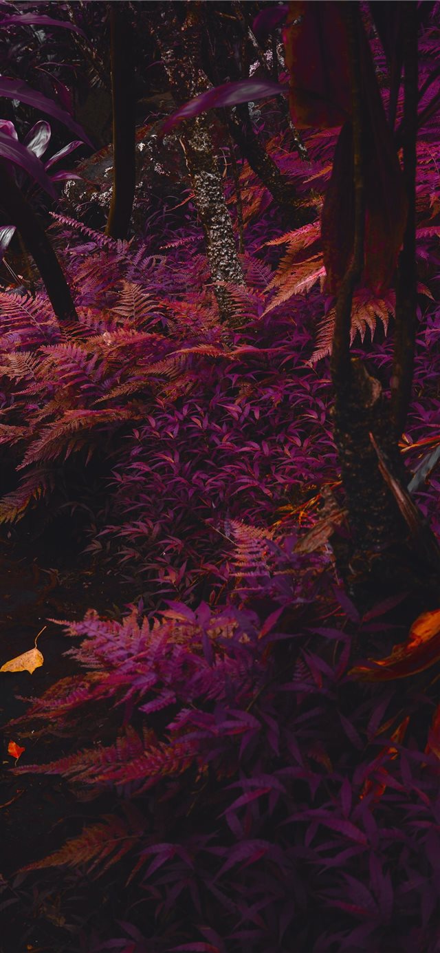 1125x2436 purple trees - art iPhone X Wallpaper