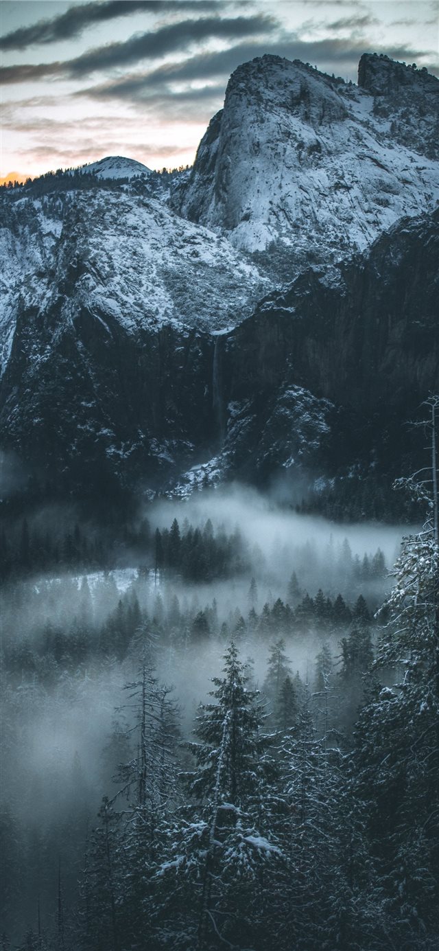 1125x2436 fog covered forest - snow iPhone X Wallpaper