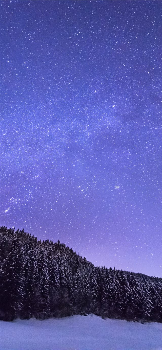 1125x2436 green pine trees coated with snow - space iPhone X Wallpaper