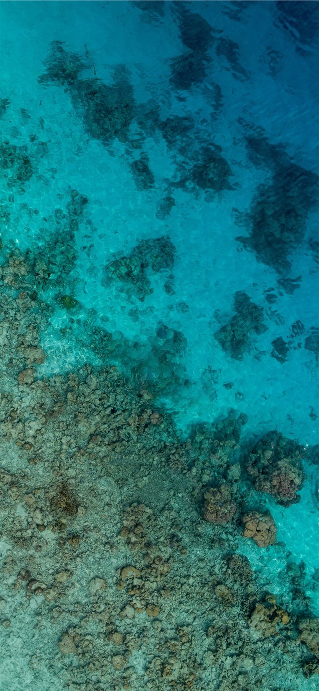 1125x2436 aerial photography of sea and stones - water iPhone X Wallpaper