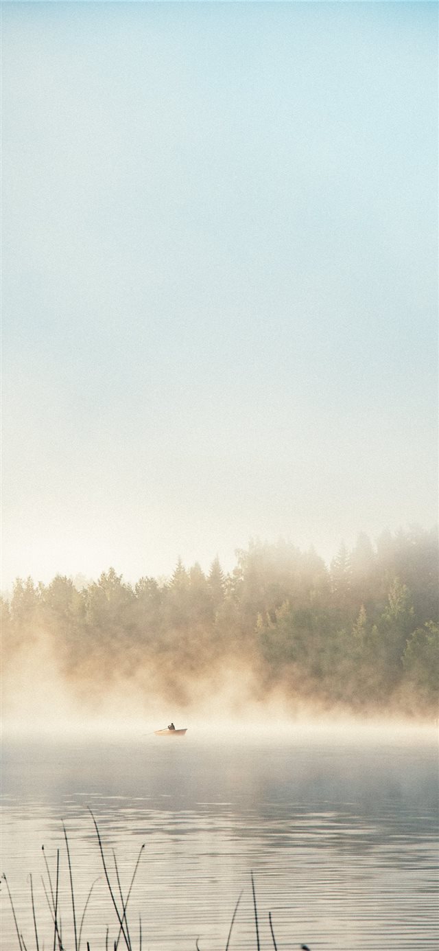 1125x2436 body of water beside trees during daytime - grey iPhone X Wallpaper