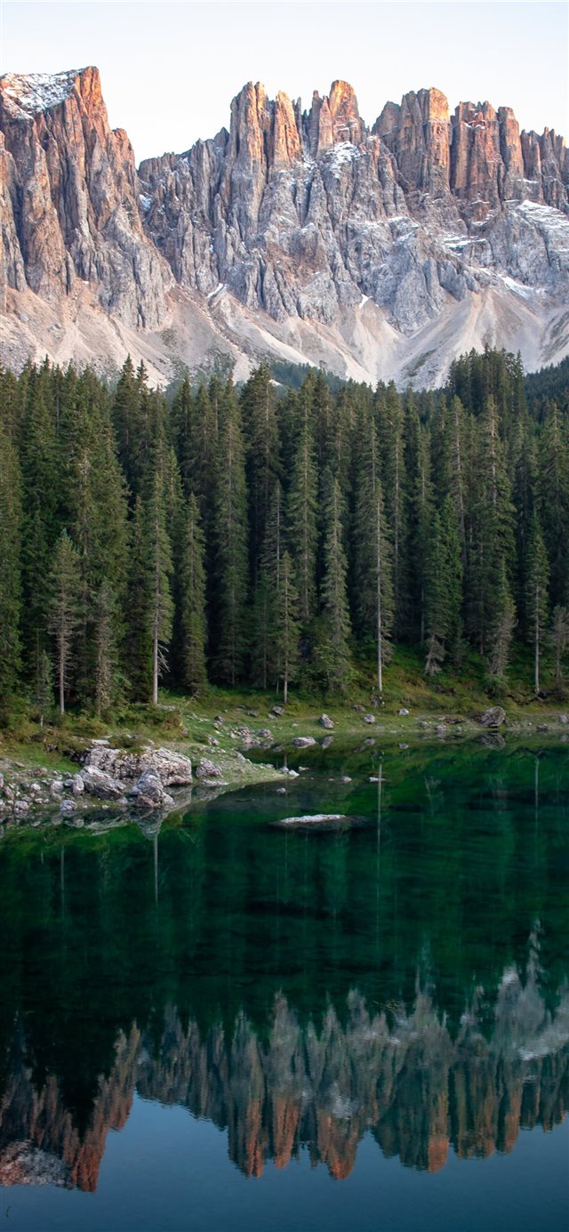 1125x2436 landscape photo of trees near mountain during dayt... - snow iPhone X Wallpaper
