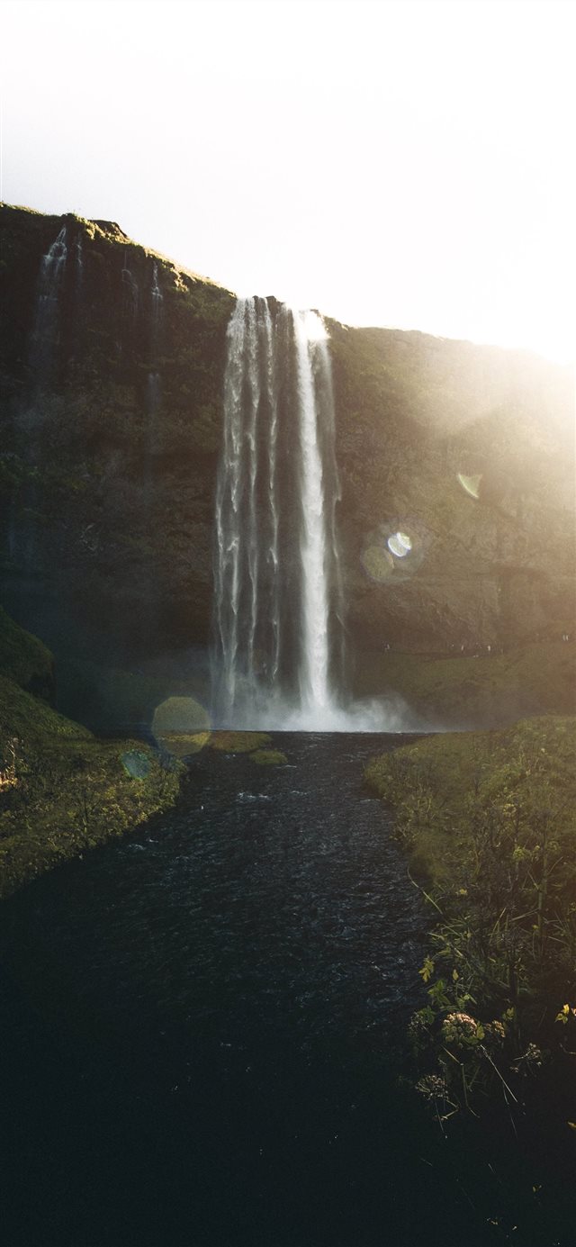 1125x2436 waterfalls during daytime - tree iPhone X Wallpaper
