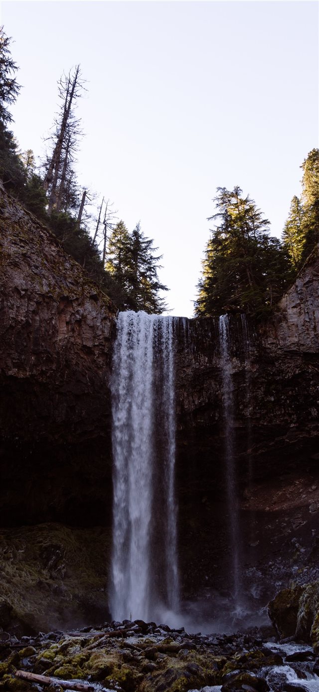 1125x2436 raging waterfalls - tree iPhone X Wallpaper