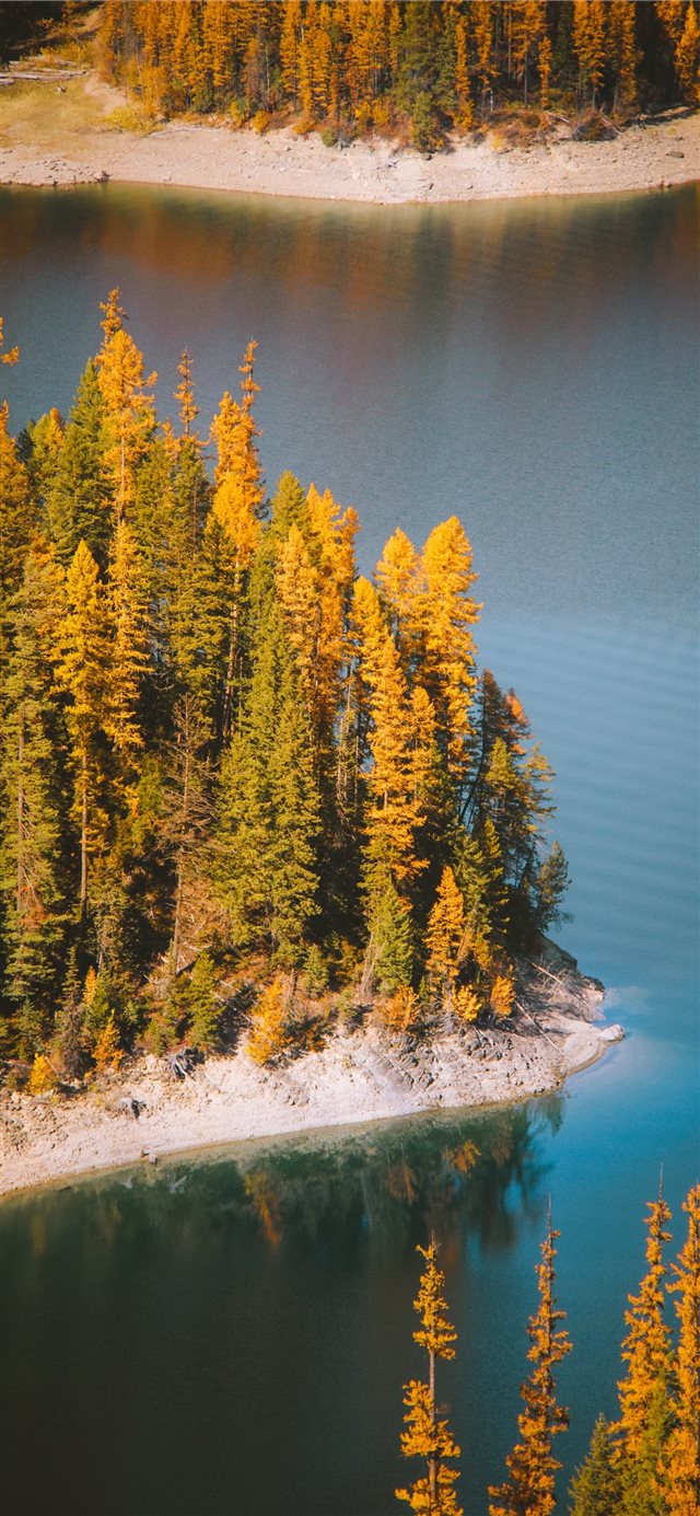 1125x2436 island near mountain view - tree iPhone X Wallpaper