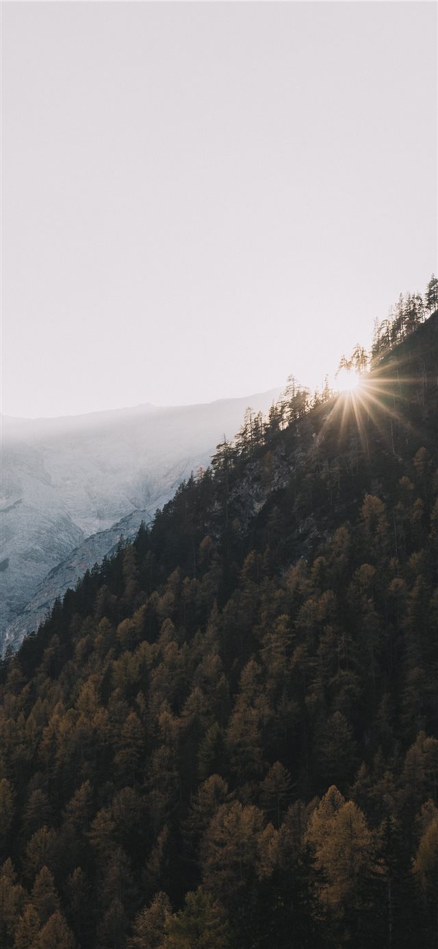1125x2436 mountain at daytime - grey iPhone X Wallpaper