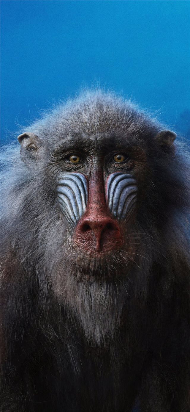 1125x2436 john kani as rafiki the lion king 2019 4k - lion iPhone X Wallpaper