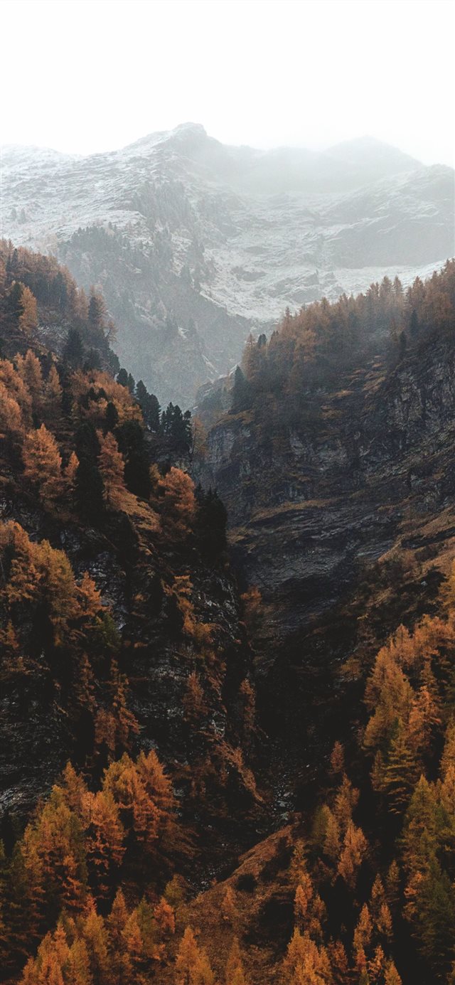 1125x2436 aerial view of brown fores and black mountains - grey iPhone X Wallpaper