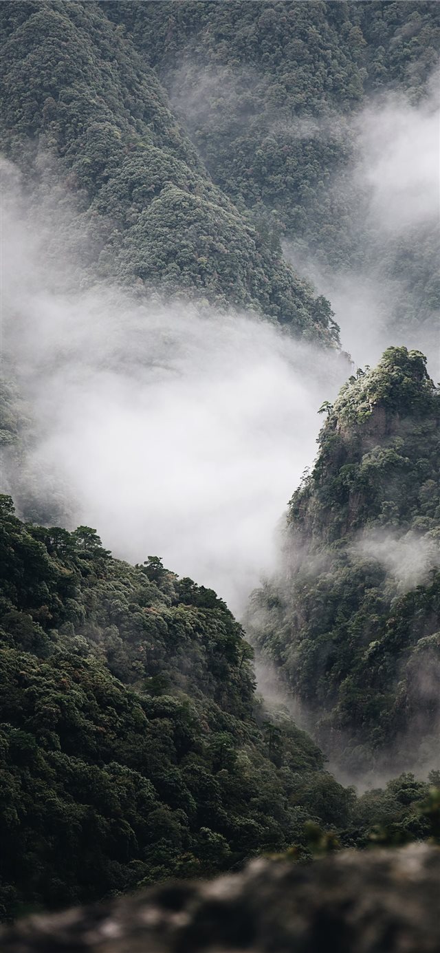 1125x2436 green tree lot covered by white clouds - mountain iPhone X Wallpaper