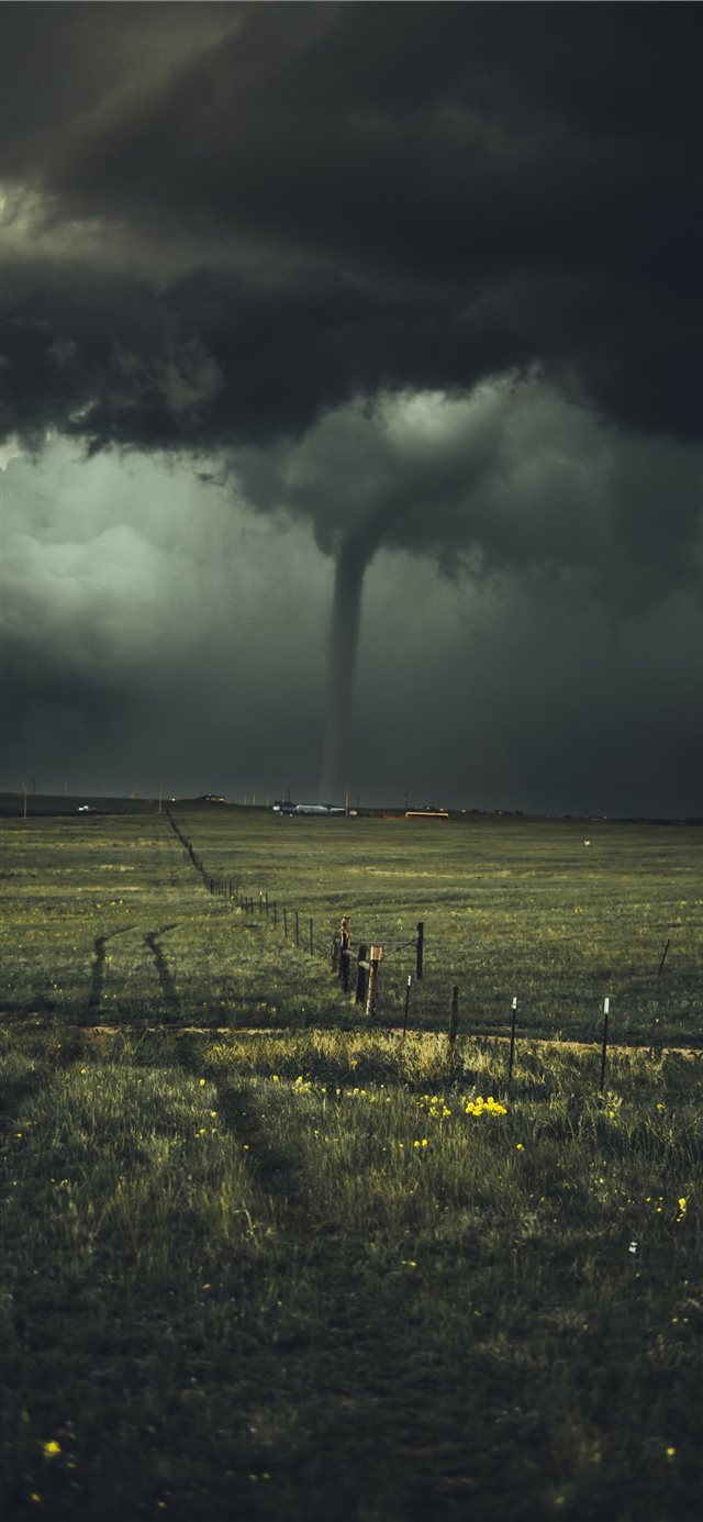 1125x2436 storm near leafed plants - green iPhone X Wallpaper