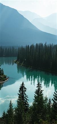 body of water and pine trees wallpaper
