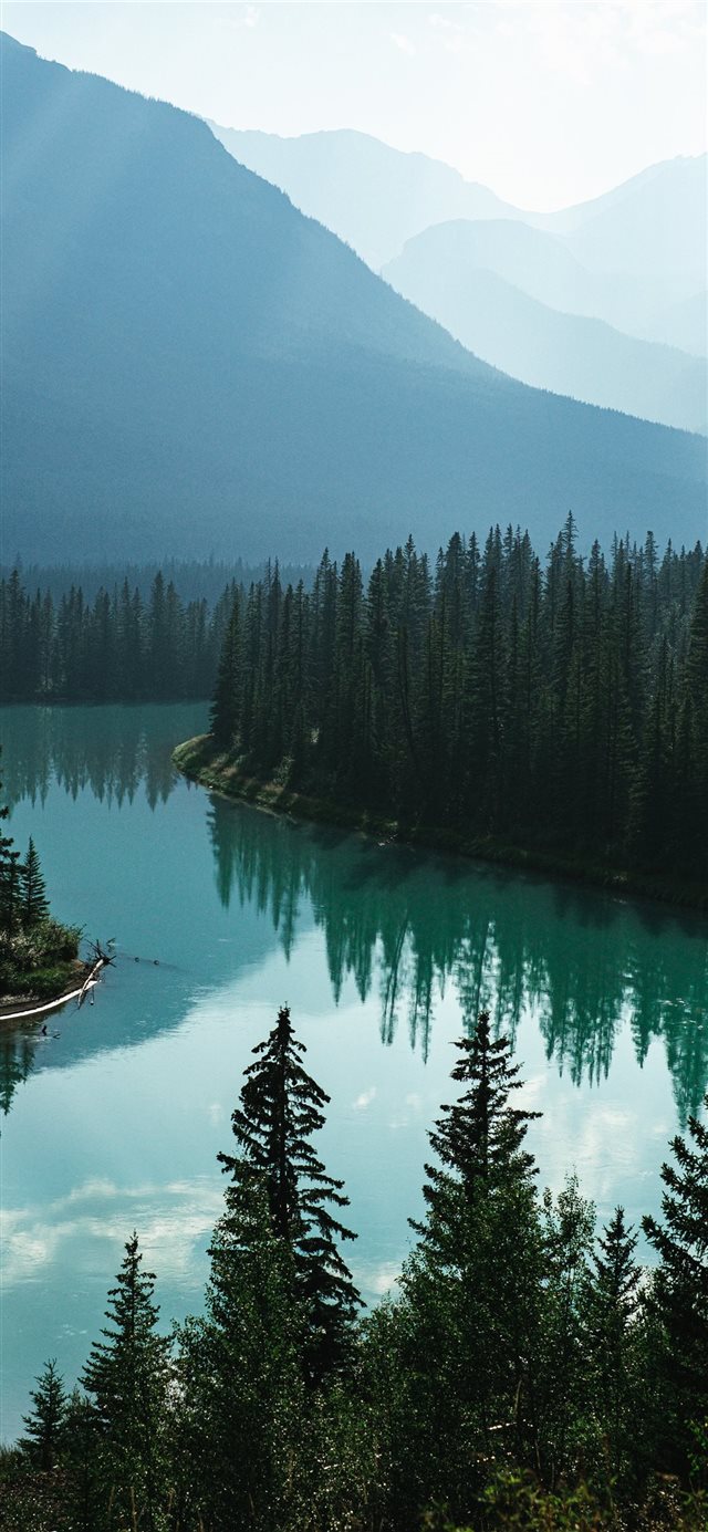1125x2436 body of water and pine trees - water iPhone X Wallpaper