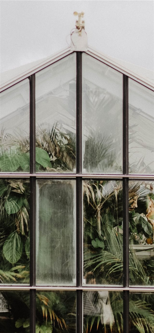 1125x2436 black multi panel windowpane - france iPhone X Wallpaper