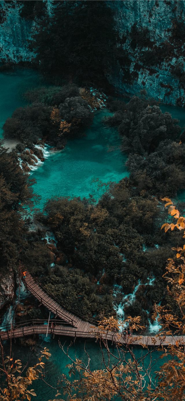 1125x2436 green trees near wooden bridge during daytime - water iPhone X Wallpaper
