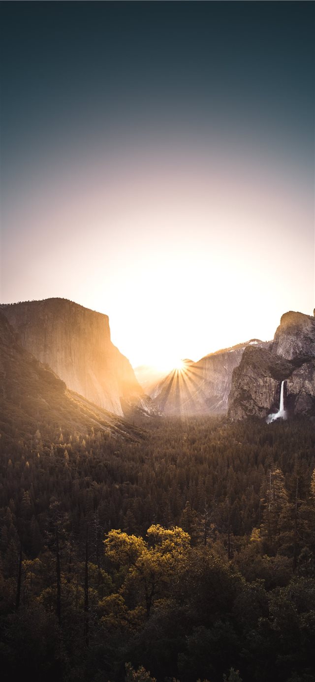 1125x2436 gray mountain surrounded with trees during sunrise - light iPhone X Wallpaper