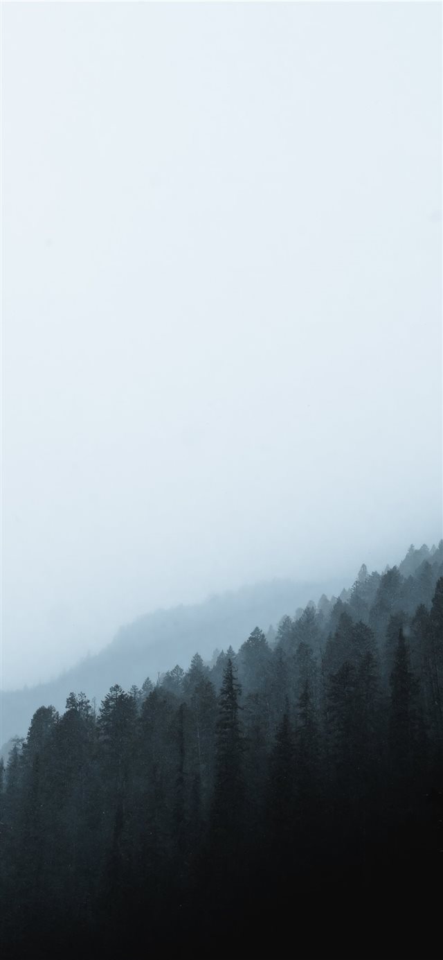 1125x2436 green pines - tree iPhone X Wallpaper
