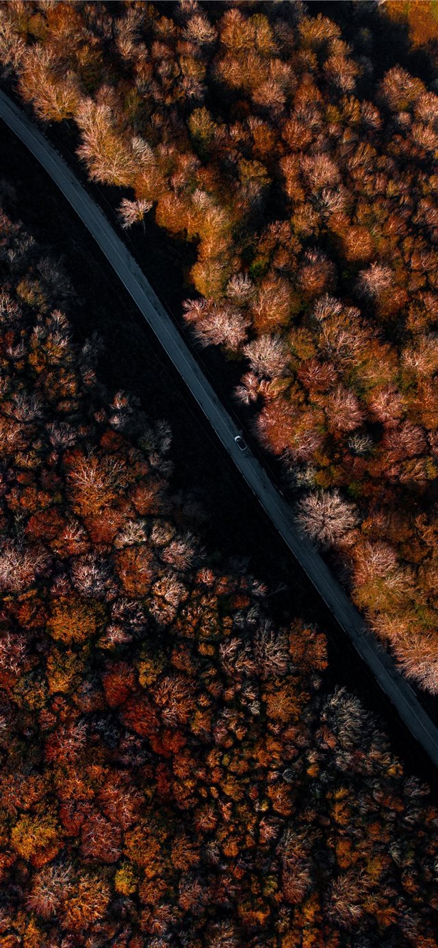 1125x2436 we were going towards an unknown destination while... - italy iPhone X Wallpaper