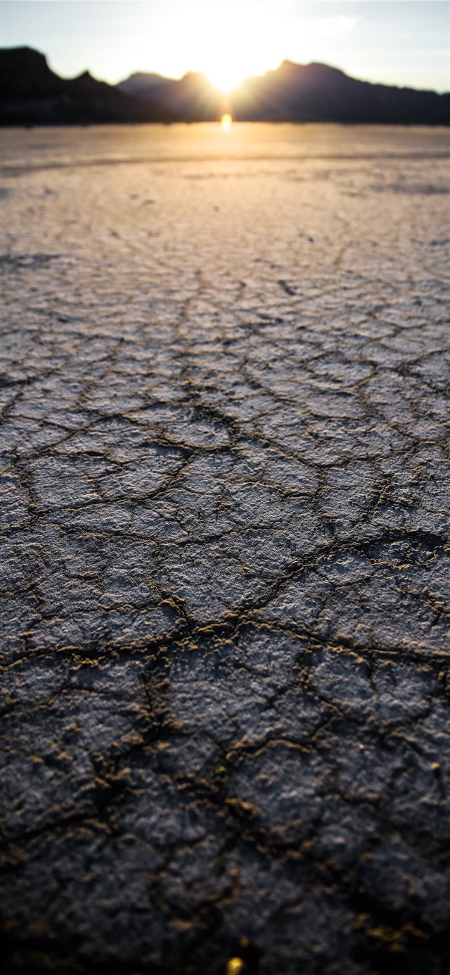 1125x2436 selective focus photography of dry soil - sun iPhone X Wallpaper