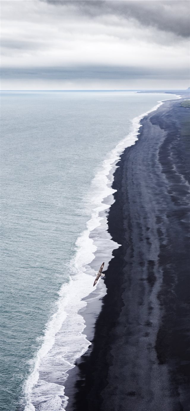 1125x2436 shore line grayscale photo - iceland iPhone X Wallpaper