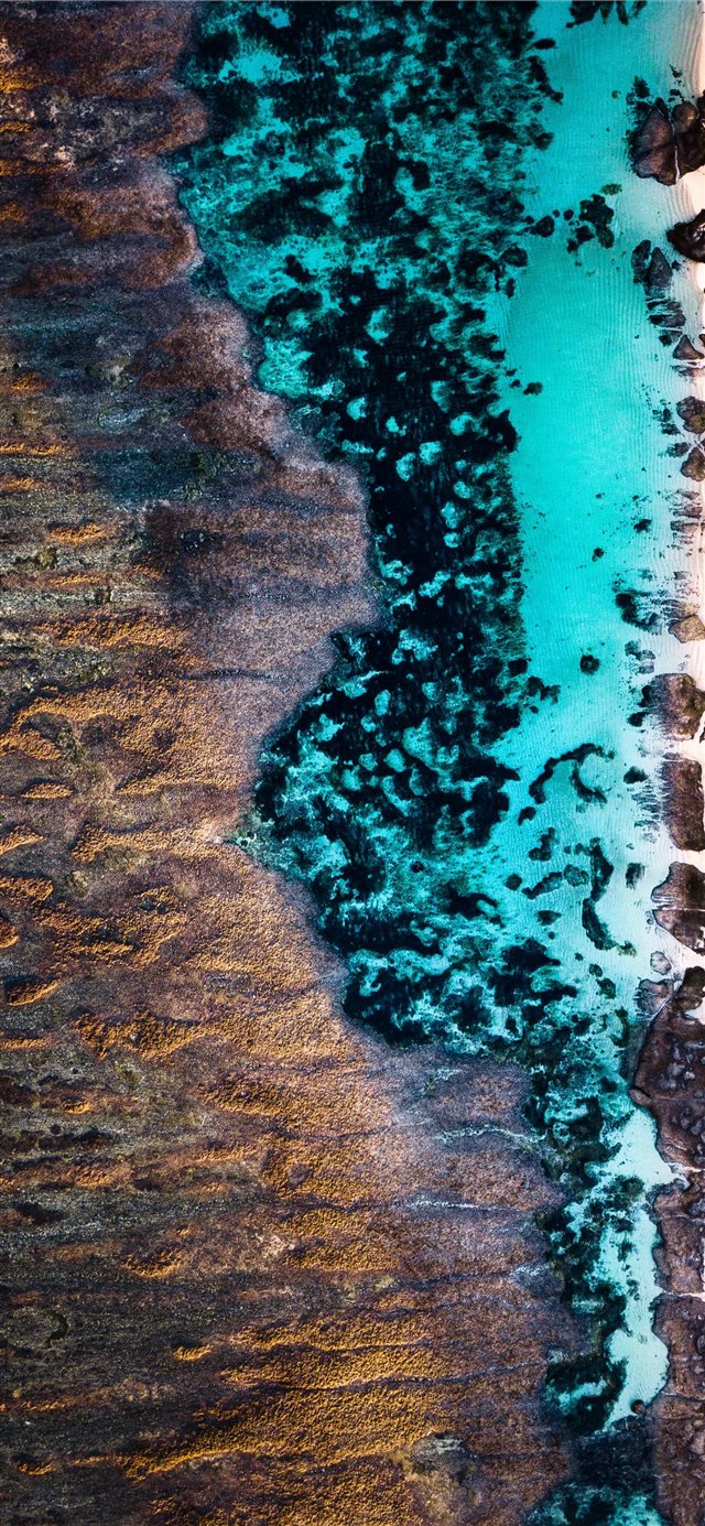 1125x2436 multicolored abstract art - water iPhone X Wallpaper