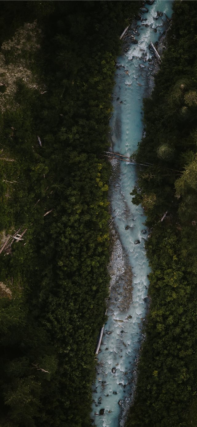 1125x2436 water stream with trees on sides - grey iPhone X Wallpaper
