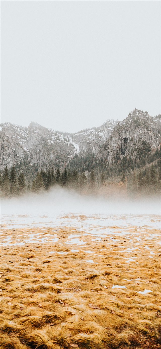 1125x2436 brown field -  iPhone X Wallpaper