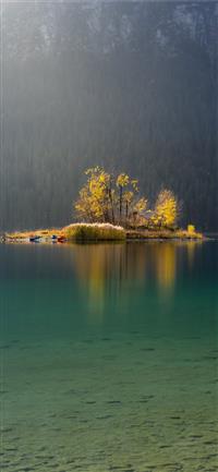 yellow tree on island wallpaper