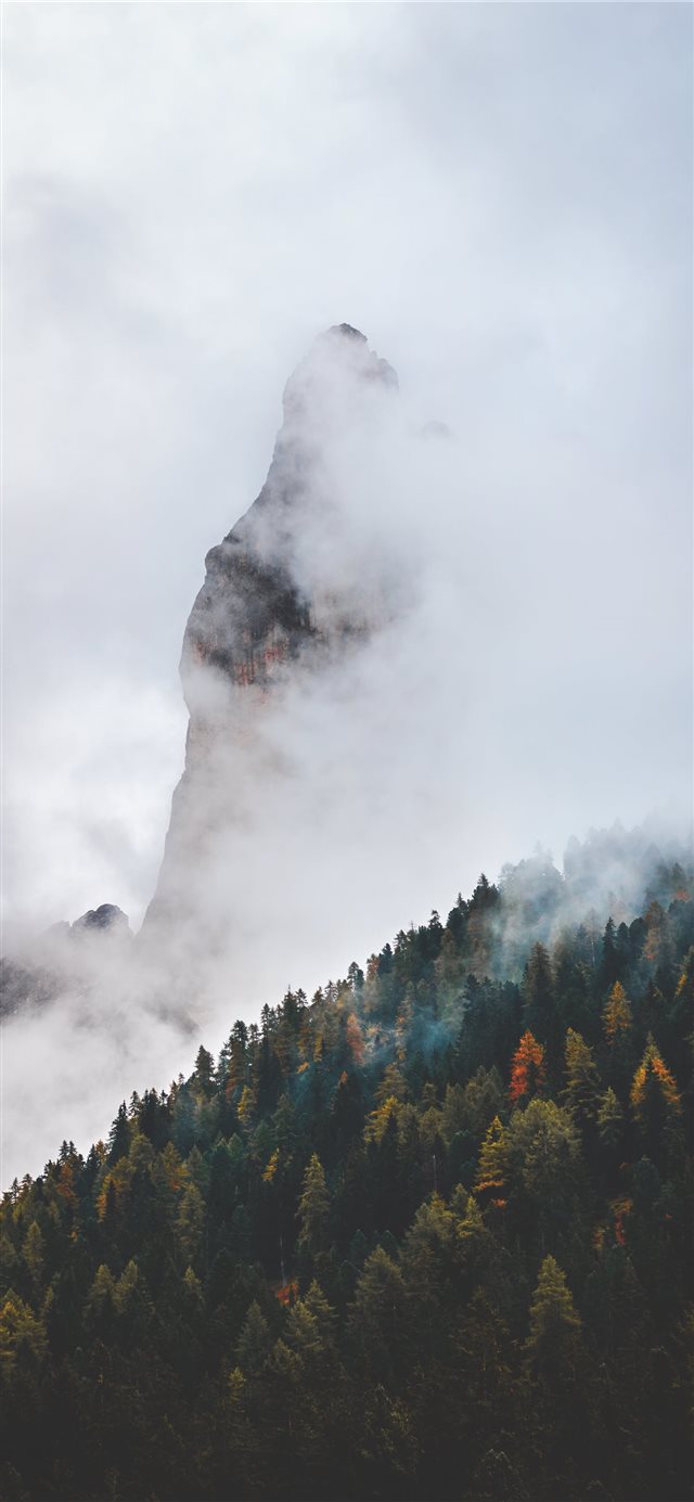 1125x2436 sea of clouds - grey iPhone X Wallpaper