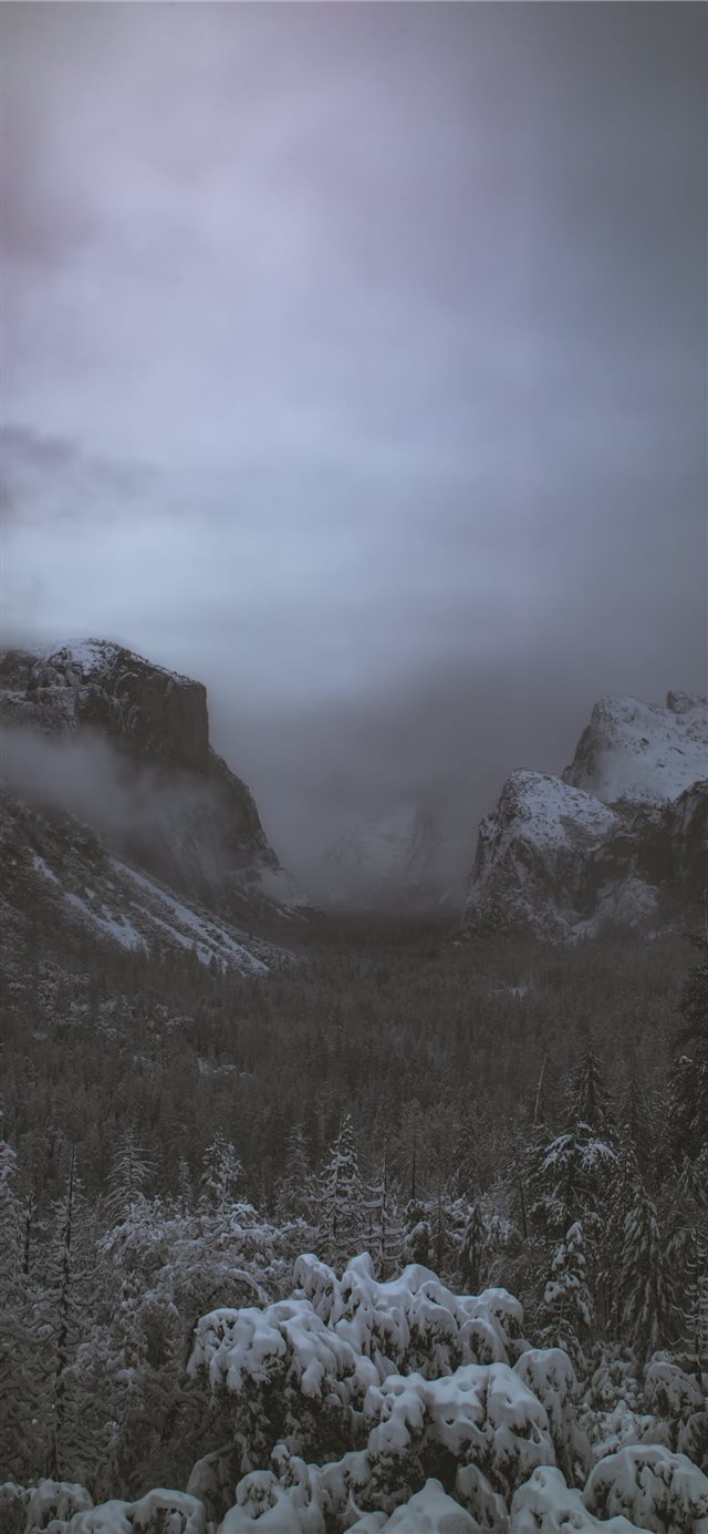 1125x2436 green trees covered by snow near mountain - snow iPhone X Wallpaper