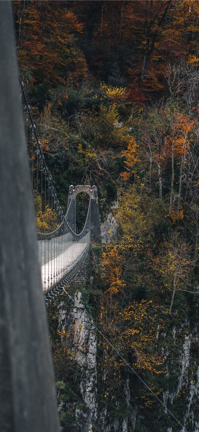 1125x2436 bridge near trees during daytime - fall iPhone X Wallpaper